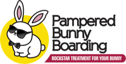 Pampered Bunny Boarding
